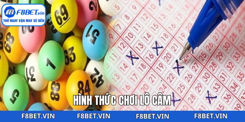 Thành viên sẽ gặp một số dạng hình thức lô câm phổ biến