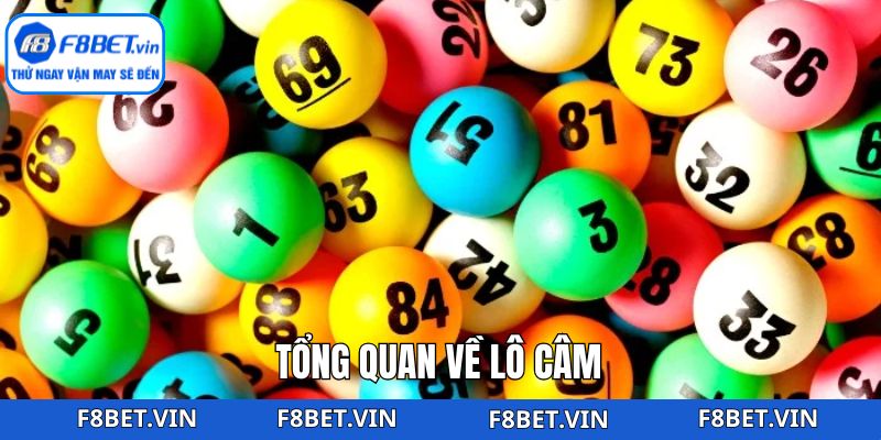 Đôi nét tìm hiểu chung về hình thức lô câm 